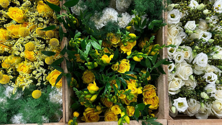 Un matrimonio tra tradizione e modernità le cui linee pulite riflettono l'eleganza, mentre il verde crea un legame con la natura circostante.